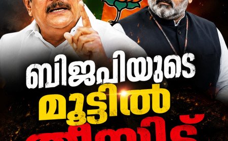 ബിജെപിയുടെ മൂട്ടിൽ തീയിട്ട് പി.സി. ജോർജ്; 4.45 കോടി ചെലവഴിച്ചെന്ന് വെളിപ്പെടുത്തൽ, ഒളിക്യാമറ ദൃശ്യങ്ങൾ പുറത്ത്