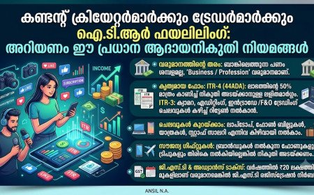യൂട്യൂബർമാർക്കും ഫ്രീലാൻസർമാർക്കും ഇൻകം ടാക്സ് നോട്ടീസ് വരാതിരിക്കാൻ: ലളിതമായ നികുതി വഴികാട്ടി
