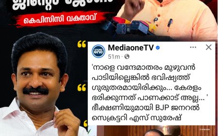 പിന്നേ പുളുത്തും’; ബിജെപി സംസ്ഥാന സെക്രട്ടറി എസ്. സുരേഷ് കുമാറിനെതിരെ രൂക്ഷ വിമർശനവുമായി ജിന്റോ ജോൺ