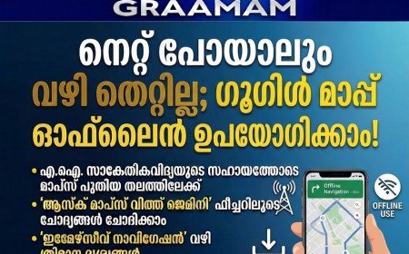 നെറ്റ് പോയാലും വഴി തെറ്റില്ല; ഗൂഗിൾ മാപ്പ് ഓഫ്‌ലൈൻ ഉപയോഗിക്കാം, അറിയേണ്ടത് ഇത്രമാത്രം
