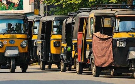 വൈറ്റിലയിൽ ഓട്ടോപ്പകൽക്കൊള്ള: പ്രീപെയ്ഡ് കൗണ്ടർ പൂട്ടി മാസങ്ങൾ, ദുരിതത്തിലായി യാത്രക്കാർ