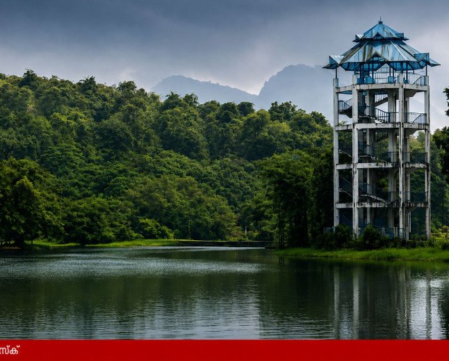 പച്ചപ്പിന്റെ വന്യത ഇനി ആകാശക്കാഴ്ചയിൽ; 10 വർഷത്തിന് ശേഷം ഭൂതത്താൻകെട്ടിലെ വാച്ച് ടവർ തുറന്നു!