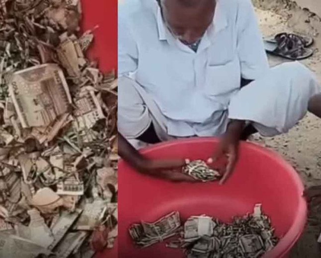 മോഷണം ഭയന്ന് മണ്ണിൽ കുഴിച്ചിട്ടത് 5 ലക്ഷം രൂപ; ഒടുവിൽ കിട്ടിയത് ചിതലരിച്ച നോട്ടുകൾ: ഒരു കർഷകന്റെ അനുഭവം നൽകുന്ന ജീവിതപാഠം