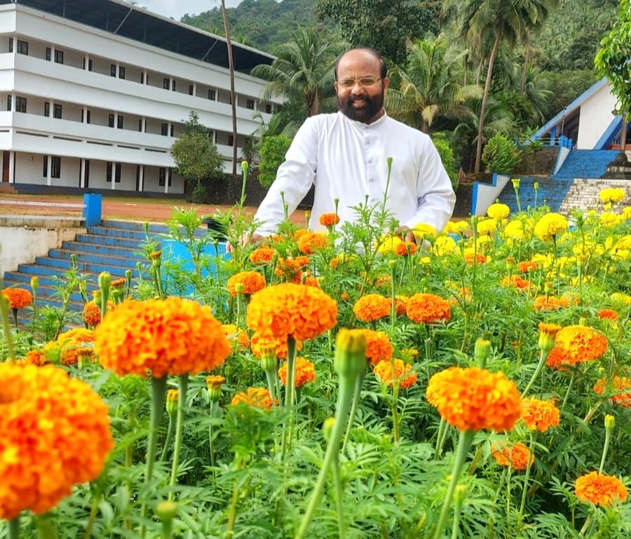 മാലോം സെന്റ് ജോർജ് ഫൊറോനാ ദേവാലയമുറ്റത്ത് ചെണ്ടുമല്ലിപ്പൂക്കളുടെ വിസ്മയം