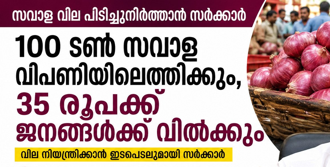 സവാള വില പിടിച്ചുനിർത്താൻ സർക്കാർ; 100 ടൺ വിപണിയിലെത്തിക്കും, കിലോയ്ക്ക് ₹35
