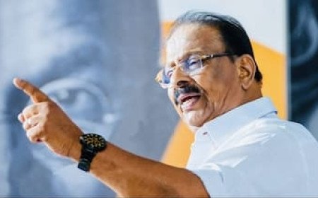 ‘അത് സുധാകരനല്ലേ…’; പിണറായി വിജയന്റെ പരിഹാസത്തിന് മറുപടിയുമായി കെ. സുധാകരൻ