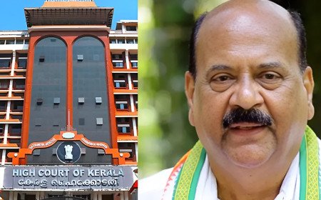 നിയമസഭയിൽ കാപ്പൻ തുടരുമോ? അയോഗ്യതാ ഹർജിയിൽ ഇനി സർക്കാരിന്റെ മറുപടി നിർണായകം