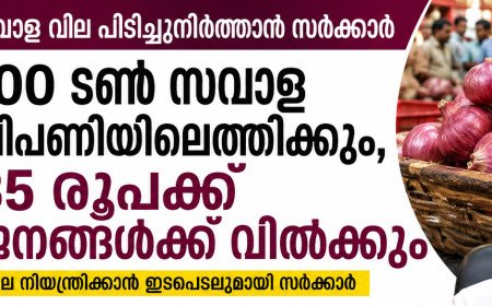 സവാള വില പിടിച്ചുനിർത്താൻ സർക്കാർ; 100 ടൺ വിപണിയിലെത്തിക്കും, കിലോയ്ക്ക് ₹35