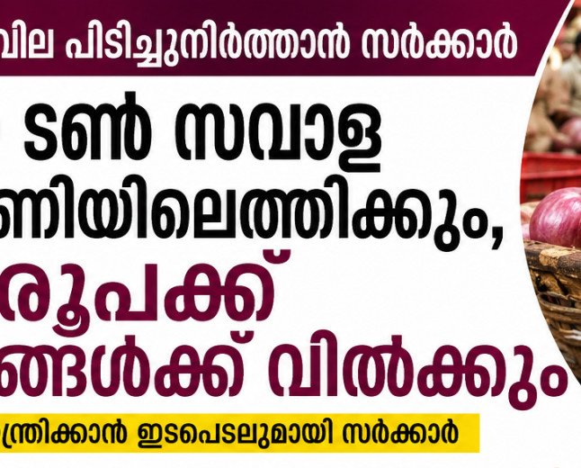 സവാള വില പിടിച്ചുനിർത്താൻ സർക്കാർ; 100 ടൺ വിപണിയിലെത്തിക്കും, കിലോയ്ക്ക് ₹35