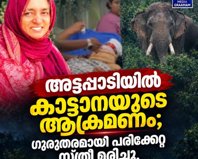 അട്ടപ്പാടിയിൽ കാട്ടാനയുടെ ആക്രമണം; ഗുരുതരമായി പരിക്കേറ്റ സ്ത്രീ മരിച്ചു