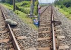 ഷൊർണൂരിൽ ട്രെയിൻ അട്ടിമറി ശ്രമമെന്ന് സംശയം; റെയിൽവേ പാളത്തിൽ ഇരുമ്പ് കഷ്ണങ്ങളും കോൺക്രീറ്റും