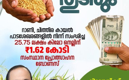 റാണി, ചിത്തിര പാടശേഖരങ്ങളിലെ കർഷകർക്ക് ആശ്വാസം; 1.62 കോടി രൂപ പ്രോത്സാഹന ബോണസ് അനുവദിച്ചു
