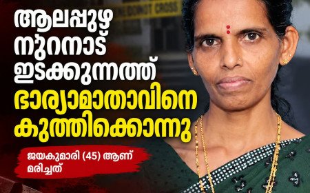 മകളെ ആക്രമിക്കുന്നത് തടയാൻ ശ്രമിച്ചു; ആലപ്പുഴയിൽ മരുമകന്റെ കുത്തേറ്റ് ഭാര്യാമാതാവ് മരിച്ചു