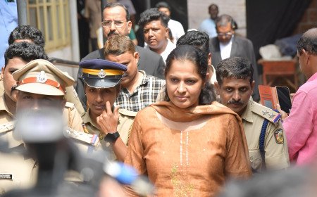 പി.പി. ദിവ്യയെ ഒതുക്കുന്നത് എന്തിന്? കണ്ണൂർ സിപിഎമ്മിൽ അധികാരപ്പോരിന്റെ ചുരുളഴിയുന്നു